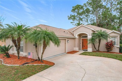 Welcome to your dream home in the Opal Hill section of LPGA on LPGA International Golf Course in Florida - for sale on GolfHomes.com, golf home, golf lot