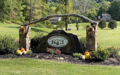 BEAUTIFULLY WOODED LOT IN UPSCALE SUBDIVISION IN THE MOUNTAINS on Mountain Harbour Golf Club in North Carolina - for sale on GolfHomes.com, golf home, golf lot