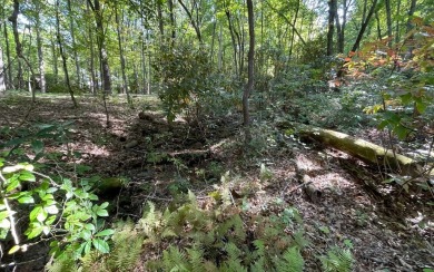 BEAUTIFULLY WOODED LOT IN UPSCALE SUBDIVISION IN THE MOUNTAINS on Mountain Harbour Golf Club in North Carolina - for sale on GolfHomes.com, golf home, golf lot