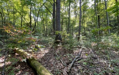 BEAUTIFULLY WOODED LOT IN UPSCALE SUBDIVISION IN THE MOUNTAINS on Mountain Harbour Golf Club in North Carolina - for sale on GolfHomes.com, golf home, golf lot