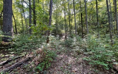 BEAUTIFULLY WOODED LOT IN UPSCALE SUBDIVISION IN THE MOUNTAINS on Mountain Harbour Golf Club in North Carolina - for sale on GolfHomes.com, golf home, golf lot