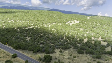 Looking For That Perfect Home Building Site With Several on Paa-Ko Ridge Golf Club  in New Mexico - for sale on GolfHomes.com, golf home, golf lot