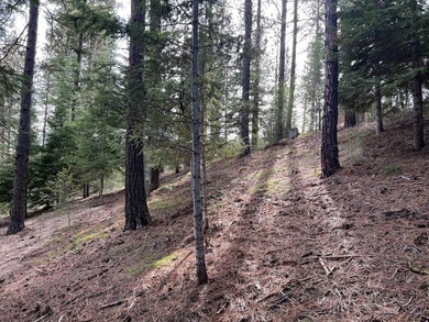 Price is right! Large wooded parcel in prestigious MeadowCreek on Meadowcreek Golf Resort in Idaho - for sale on GolfHomes.com, golf home, golf lot