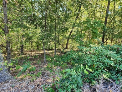 Great location in the Lake Rayburn Area of Bella Vista. Build on Bella Vista Country Club - Berksdale in Arkansas - for sale on GolfHomes.com, golf home, golf lot