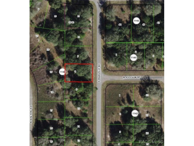 Nice building lot located in the booming area of Citrus Springs on Citrus Springs Country Club in Florida - for sale on GolfHomes.com, golf home, golf lot