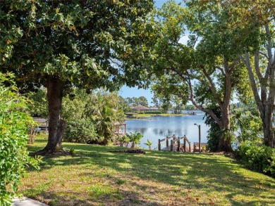 Welcome to 7540 Lake Marsha Drive -- your private waterfront on Orange Tree Golf Club in Florida - for sale on GolfHomes.com, golf home, golf lot