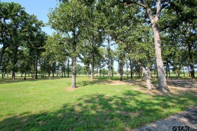 Welcome to Lake Fork Golf Course Estates! Five scenic lots on Lake Fork Golf Club - Wood County in Texas - for sale on GolfHomes.com, golf home, golf lot