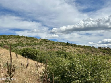 Discover an unparalleled opportunity with this expansive on Talisker Club At Tuhaye in Utah - for sale on GolfHomes.com, golf home, golf lot