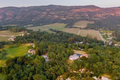 Experience the stunning views of Mt. St. Helena, Mt. Tamalpais on Napa Valley Country Club in California - for sale on GolfHomes.com, golf home, golf lot