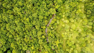 Creekfront Acreage for Sale in Hardy Arkansas! Escape to this on Cherokee Village North Course in Arkansas - for sale on GolfHomes.com, golf home, golf lot