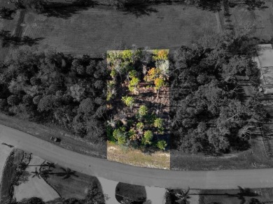 39 acre residential building lot available for your next on Rotonda Golf and Country Club The Links Course in Florida - for sale on GolfHomes.com, golf home, golf lot