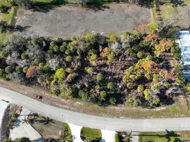 39 acre residential building lot available for your next on Rotonda Golf and Country Club The Links Course in Florida - for sale on GolfHomes.com, golf home, golf lot