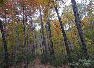 Nearly 5 acre parcel with two ponds, lush foliage and abundant on The Cliffs Valley Golf Course in South Carolina - for sale on GolfHomes.com, golf home, golf lot