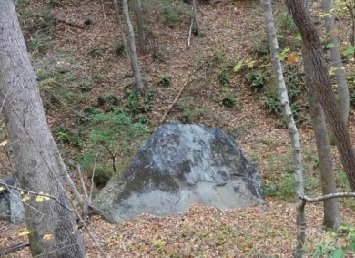 Nearly 5 acre parcel with two ponds, lush foliage and abundant on The Cliffs Valley Golf Course in South Carolina - for sale on GolfHomes.com, golf home, golf lot