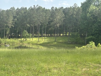 WELCOME TO THE FARMS OF JASPER HIGHLANDS -- mountaintop Living on Sequatchie Valley Golf and Country Club in Tennessee - for sale on GolfHomes.com, golf home, golf lot
