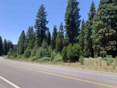 1.23 acres zoned C-2 on the Lake Almanor Peninsula. Not many on Bailey Creek Golf Course in California - for sale on GolfHomes.com, golf home, golf lot