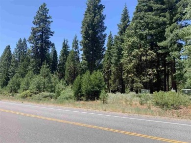 1.23 acres zoned C-2 on the Lake Almanor Peninsula. Not many on Bailey Creek Golf Course in California - for sale on GolfHomes.com, golf home, golf lot