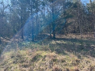 Great upsloping third of an acre lot that would make a great on Holiday Island Golf Course in Arkansas - for sale on GolfHomes.com, golf home, golf lot