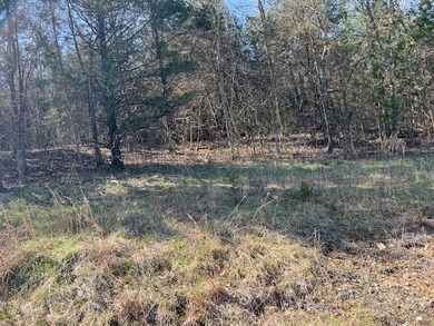 Great upsloping third of an acre lot that would make a great on Holiday Island Golf Course in Arkansas - for sale on GolfHomes.com, golf home, golf lot