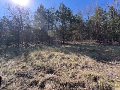 Great upsloping third of an acre lot that would make a great on Holiday Island Golf Course in Arkansas - for sale on GolfHomes.com, golf home, golf lot