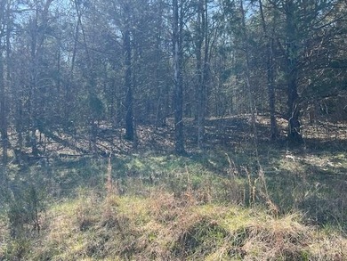 Great upsloping third of an acre lot that would make a great on Holiday Island Golf Course in Arkansas - for sale on GolfHomes.com, golf home, golf lot