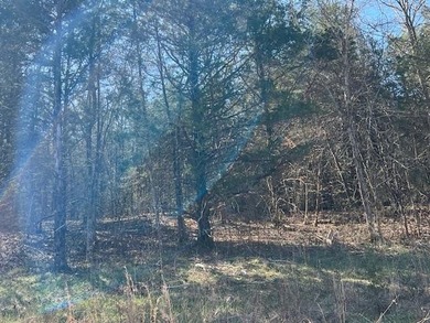 Great upsloping third of an acre lot that would make a great on Holiday Island Golf Course in Arkansas - for sale on GolfHomes.com, golf home, golf lot