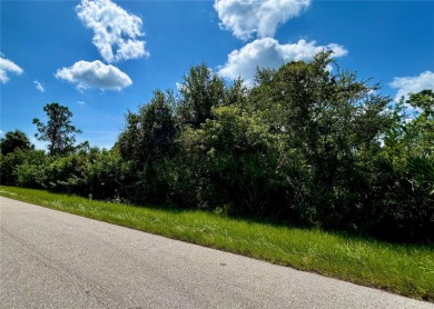 This double lot on Eleanor Avenue in Port Charlotte offers on Riverwood Golf Club in Florida - for sale on GolfHomes.com, golf home, golf lot