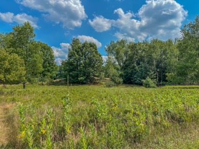 Discover the perfect opportunity to build your dream home on on Canadian Lakes Country Club-The Royal Course in Michigan - for sale on GolfHomes.com, golf home, golf lot