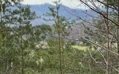 GENTLE LOT IN THE MOUNTAINS OF NORTH CAROLINA!! This beautiful on Mountain Harbour Golf Club in North Carolina - for sale on GolfHomes.com, golf home, golf lot