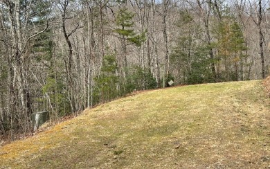 GENTLE LOT IN THE MOUNTAINS OF NORTH CAROLINA!! This beautiful on Mountain Harbour Golf Club in North Carolina - for sale on GolfHomes.com, golf home, golf lot