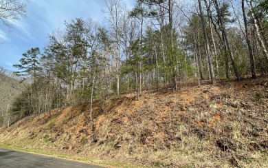GENTLE LOT IN THE MOUNTAINS OF NORTH CAROLINA!! This beautiful on Mountain Harbour Golf Club in North Carolina - for sale on GolfHomes.com, golf home, golf lot