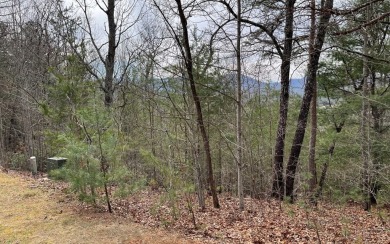 GENTLE LOT IN THE MOUNTAINS OF NORTH CAROLINA!! This beautiful on Mountain Harbour Golf Club in North Carolina - for sale on GolfHomes.com, golf home, golf lot