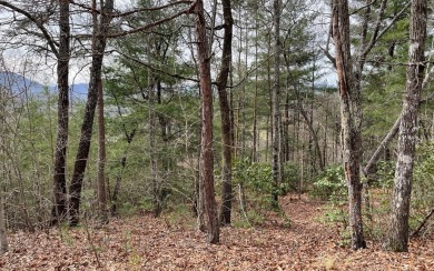 GENTLE LOT IN THE MOUNTAINS OF NORTH CAROLINA!! This beautiful on Mountain Harbour Golf Club in North Carolina - for sale on GolfHomes.com, golf home, golf lot