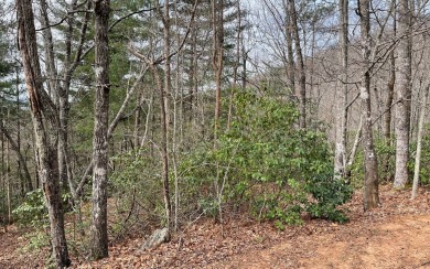 GENTLE LOT IN THE MOUNTAINS OF NORTH CAROLINA!! This beautiful on Mountain Harbour Golf Club in North Carolina - for sale on GolfHomes.com, golf home, golf lot