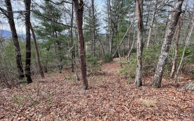 GENTLE LOT IN THE MOUNTAINS OF NORTH CAROLINA!! This beautiful on Mountain Harbour Golf Club in North Carolina - for sale on GolfHomes.com, golf home, golf lot