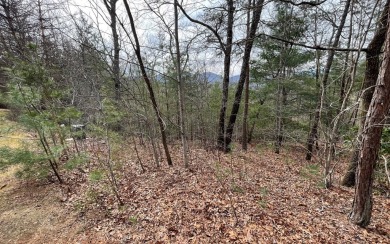 GENTLE LOT IN THE MOUNTAINS OF NORTH CAROLINA!! This beautiful on Mountain Harbour Golf Club in North Carolina - for sale on GolfHomes.com, golf home, golf lot