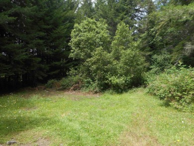 10.49 acres in Hiouchi with golf course frontage.  This parcel on Del Norte Golf Club in California - for sale on GolfHomes.com, golf home, golf lot