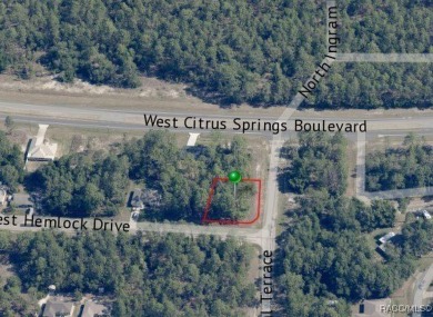 Buildable corner lot in Citrus Springs offers a picturesque on Citrus Springs Country Club in Florida - for sale on GolfHomes.com, golf home, golf lot