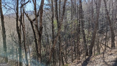 This lot offers great mountain views and Sky Valley city on Sky Valley Resort and Country Club in Georgia - for sale on GolfHomes.com, golf home, golf lot