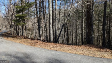 This lot offers great mountain views and Sky Valley city on Sky Valley Resort and Country Club in Georgia - for sale on GolfHomes.com, golf home, golf lot