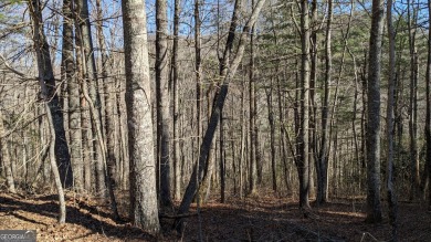 This lot offers great mountain views and Sky Valley city on Sky Valley Resort and Country Club in Georgia - for sale on GolfHomes.com, golf home, golf lot
