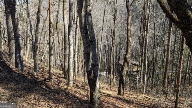 This lot offers great mountain views and Sky Valley city on Sky Valley Resort and Country Club in Georgia - for sale on GolfHomes.com, golf home, golf lot