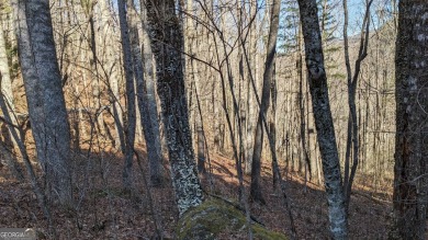 This lot offers great mountain views and Sky Valley city on Sky Valley Resort and Country Club in Georgia - for sale on GolfHomes.com, golf home, golf lot