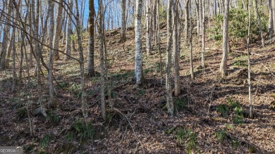 This lot offers great mountain views and Sky Valley city on Sky Valley Resort and Country Club in Georgia - for sale on GolfHomes.com, golf home, golf lot