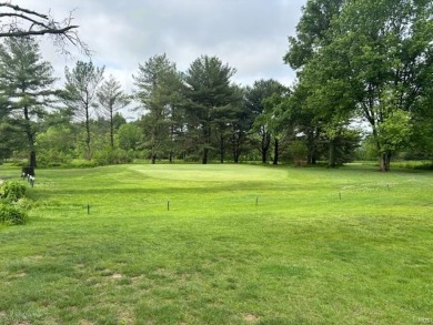 Here is your chance to own a business. This is a fully on Twin Oaks Golf Club in Illinois - for sale on GolfHomes.com, golf home, golf lot