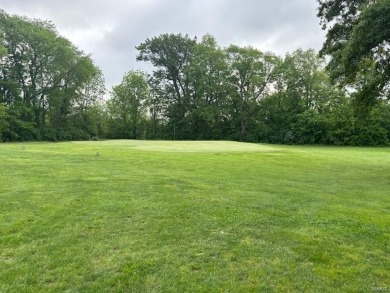 Here is your chance to own a business. This is a fully on Twin Oaks Golf Club in Illinois - for sale on GolfHomes.com, golf home, golf lot