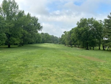 Here is your chance to own a business. This is a fully on Twin Oaks Golf Club in Illinois - for sale on GolfHomes.com, golf home, golf lot