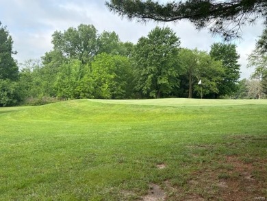 Here is your chance to own a business. This is a fully on Twin Oaks Golf Club in Illinois - for sale on GolfHomes.com, golf home, golf lot