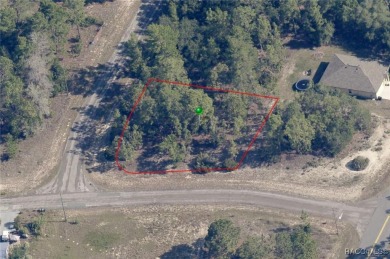 Vacant Property for Sale: 11135 N Edna Terrace, Citrus Springs on Pine Ridge Community Golf and Country Club in Florida - for sale on GolfHomes.com, golf home, golf lot