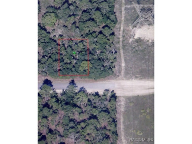 Building lot for sale in Citrus Springs that is flat and nice on Citrus Springs Country Club in Florida - for sale on GolfHomes.com, golf home, golf lot